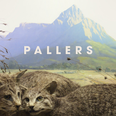 Pallers – The Kiss