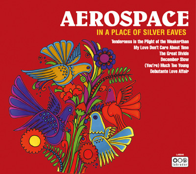 Aerospace – In a Place of Silver Eaves