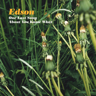 Edson – One Last Song About You Know What